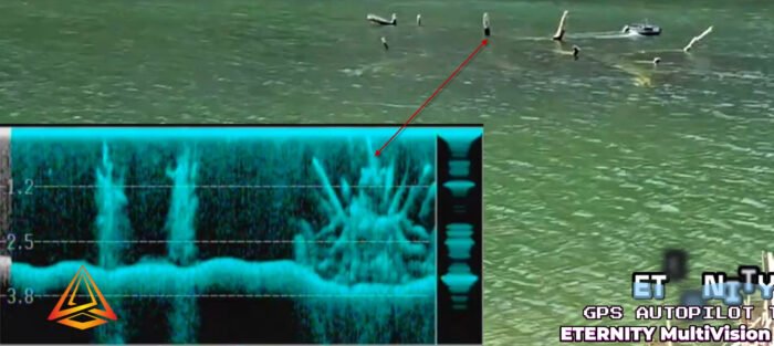 Eternity Multivision FPV FishFinder - Image 6